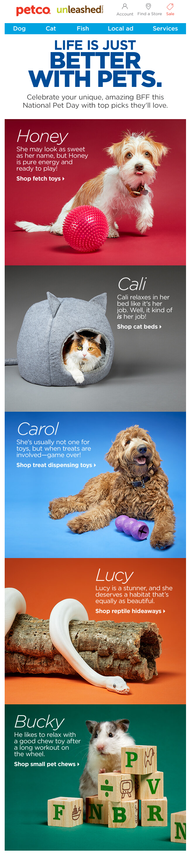 An email dedicated to Pet’s Day from Petco An email dedicated to Pet’s Day from Petco
