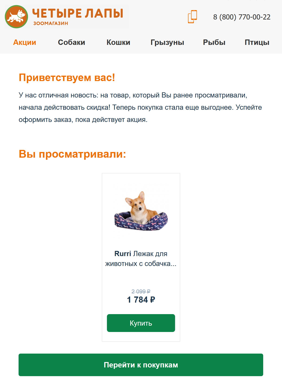 Динамический контент в триггерном письме от зоомагазина «Четыре лапы»