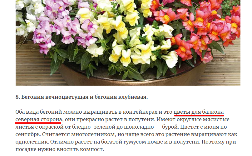 Неудачно вписана ключевая фраза