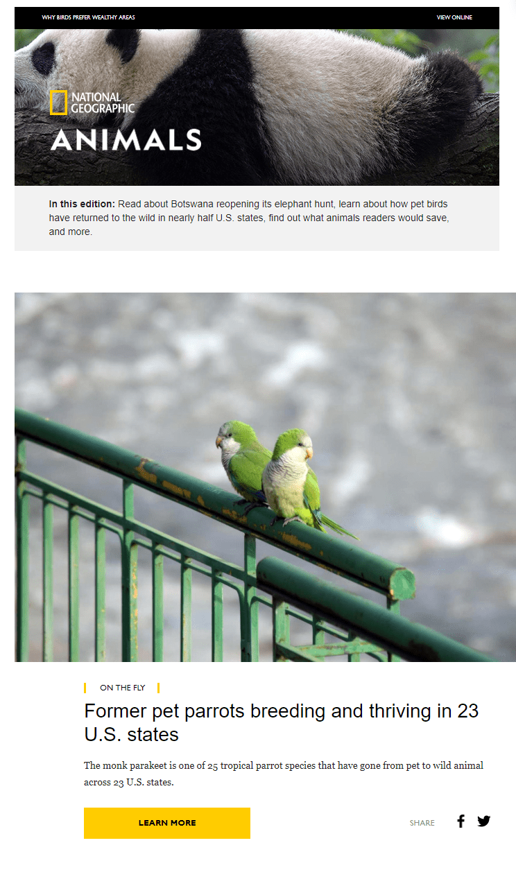 National Geographic email National Geographic email