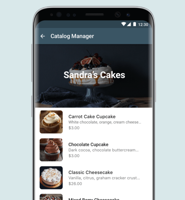 Using WhatsApp catalog feature