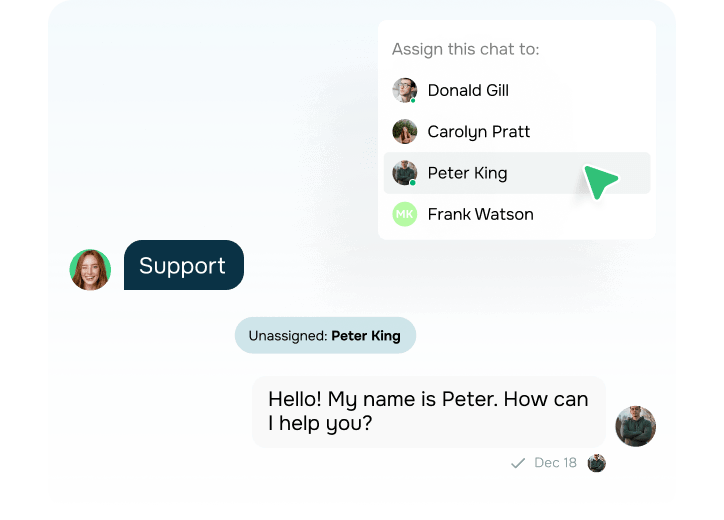 Viber chatbot for support
