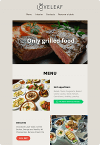 email template preview